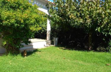 afa butrone sarrola - Foto 5