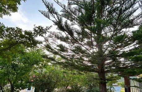 Anabelis studios & apartments - Foto 72