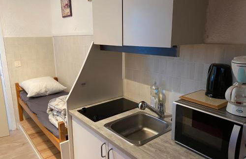 Studio Les Marmottes Bleues PRALOUP 1500 - Foto 18