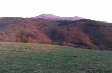 La Casa del susino - Foto 19