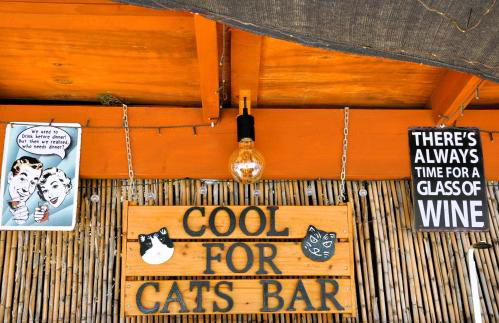 Casa Sol y Luna - Foto 25