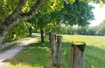 La roulotte de Jane - Foto 33