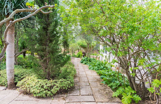 Cas Pilot in Santa Maria del Cam - Photo 25