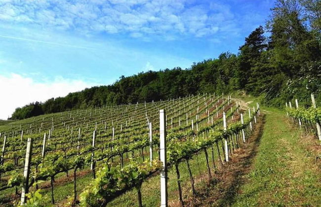 Belvilla by OYO Appartamento Yassine - Foto 25