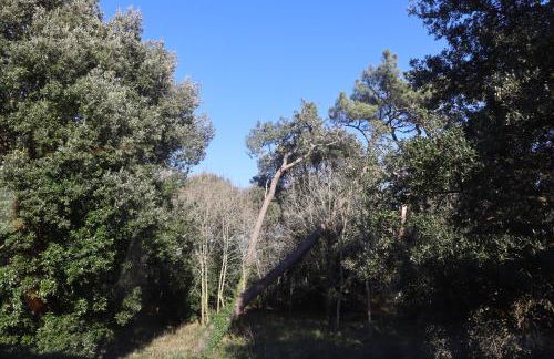 Pascanono - Location de maison de vacances avec jardin pour séjour à Le Palais, Belle-Ile-en-mer - Photo 28