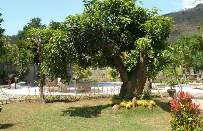 Villa Zukunft Babonsay - Foto 51