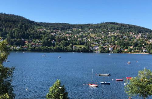Gerardmer : Residence "l'eau vive" - Foto 14