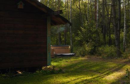 Biały Las Magiczna Stara Chata Puszcza Białowieska - Foto 6