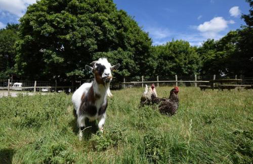 2 Bed in Taunton oc-83696 - Foto 14