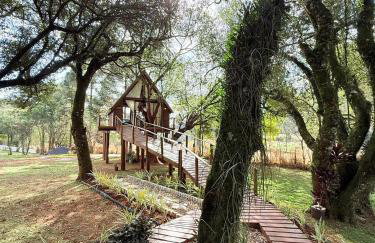 Casa na Árvore em Guarapuava - Foto 1