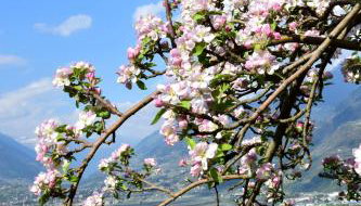 Rennweg 114 - Foto 2