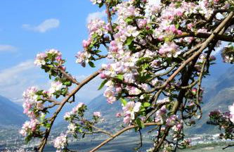 Rennweg 114 - Foto 116