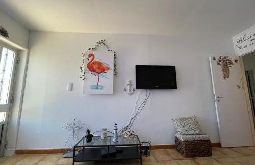 Traditional Peniche House - Foto 10