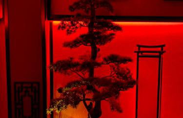 Loveroom 50 nuances plus zen Expérience immersive & intimiste - Foto 24