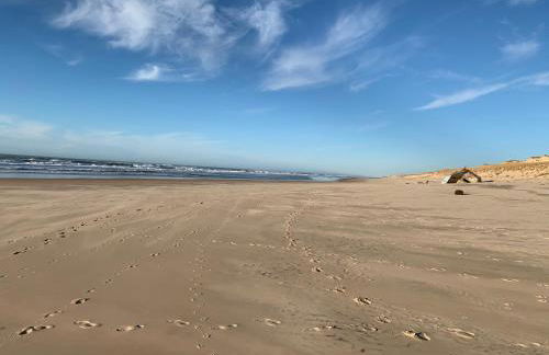 AGREABLE T2 LISIERE DU GOLF LACANAU OCEAN - Foto 11