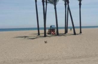 Balcones de Roquetas III - Foto 14