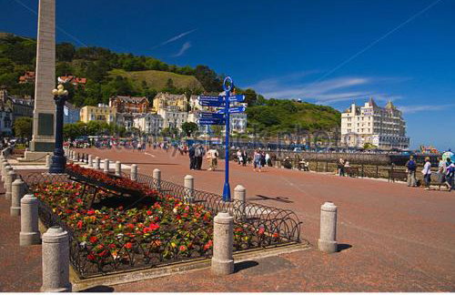 Sycamore Cottage - Photo 31