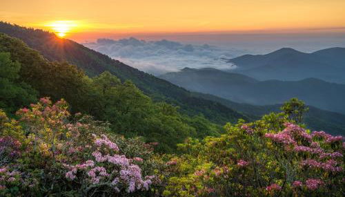 Asheville Black Mountain Escape - Foto 4