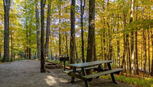 Treehouse Cabin in Riverton, WV - Foto 2