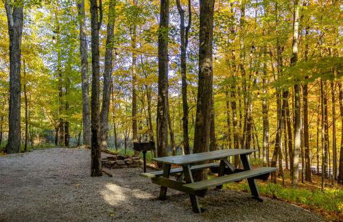 Treehouse Cabin in Riverton, WV - Foto 2