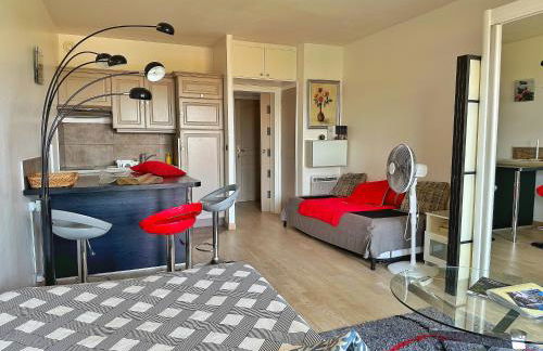 Grand Studio Avec Piscine Presqu'île De Giens - Foto 19