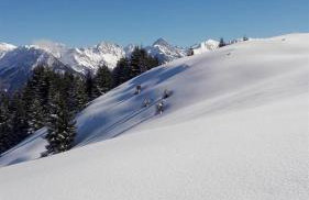 Ferienwohnung Landhaus Martin - Foto 34