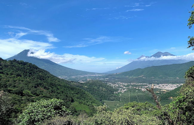 Finca El Tambor - Foto 62