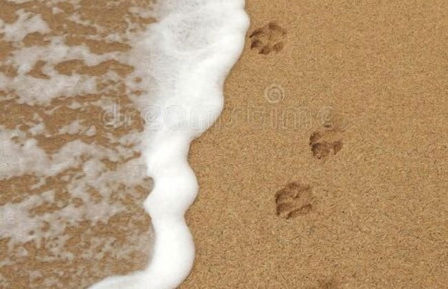 Turnberry Serviced Apartments - Photo 68