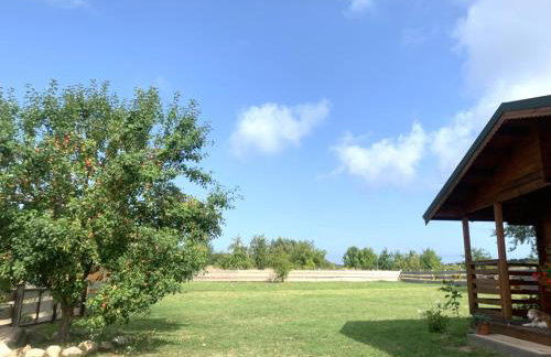 Pod Dziką Jabłonią - Foto 17