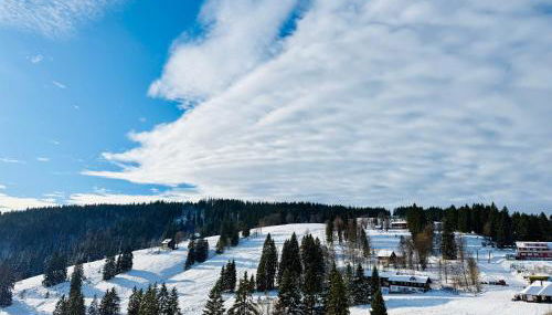 Mitten auf dem Feldberg Panorama Apartment Bergglück - Foto 5