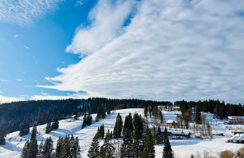 Mitten auf dem Feldberg Panorama Apartment Bergglück - Foto 5