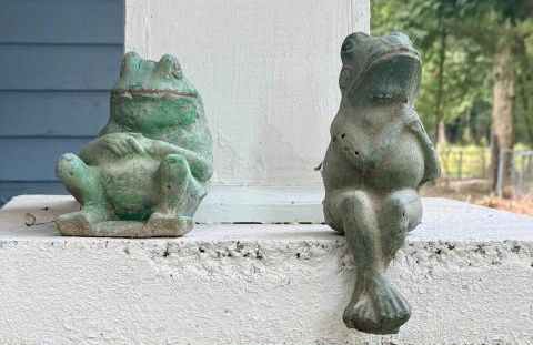 Country Retreat with ponds-views-porches & pups - Foto 68