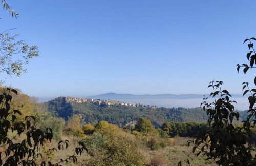 Casetta Edera - Foto 26