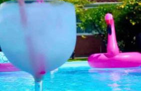 Chalé Flamingo com Piscina Casa inteira em Morretes - Photo 44