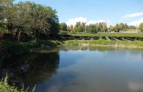 Agriturismo Ca' Vecia - Foto 107