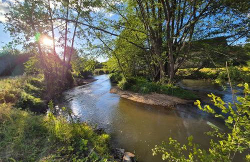 Hôtel des arts - Gîte Musique dans le Perche - Foto 21