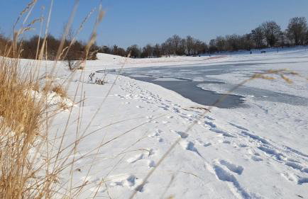 Gemütliche Wohnung nahe München mit kleinem Garten - Foto 29