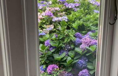 Marie Carla - Foto 44