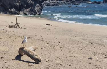 Studio les pieds dans l'eau - Foto 12