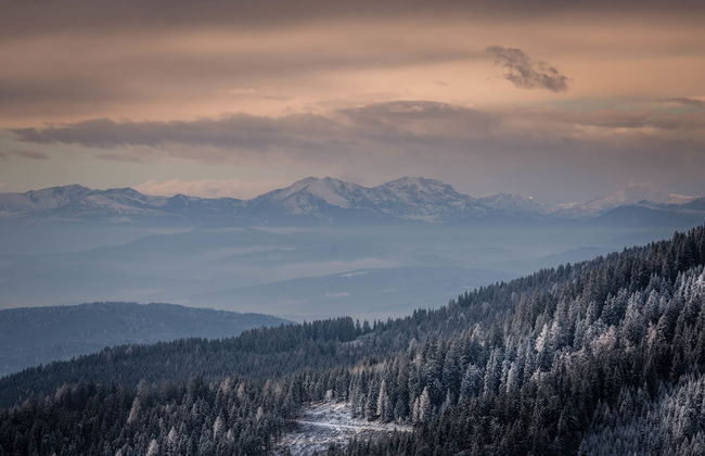 Klippitz Resort - Foto 31