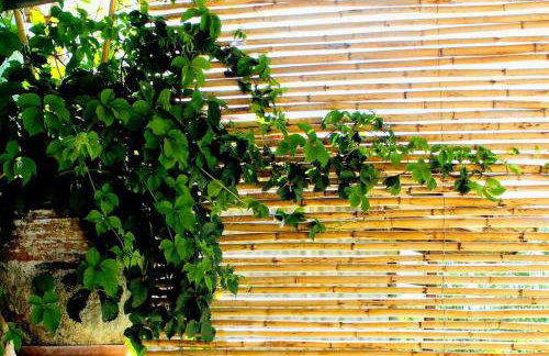 Traditional Stone House at Great Location - Foto 8