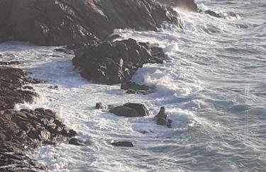 Studio Kalogridis - Foto 21