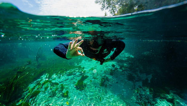 Sucuri River Snorkelling Tour - Photo 5, Having a blast