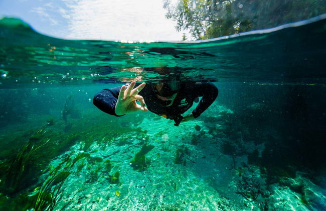 Snorkelling in the Sucuri River - Foto 6