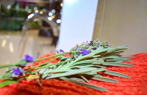 VILLA DINJA - Photo 27