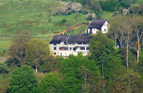 Ferienhaus Rurblick - Foto 1