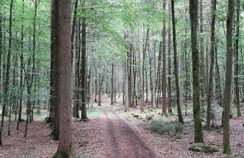 Ferienwohnung Mohrs - Foto 21