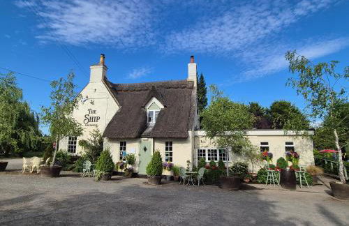 Zoila's Rest - A self-contained studio - Foto 32