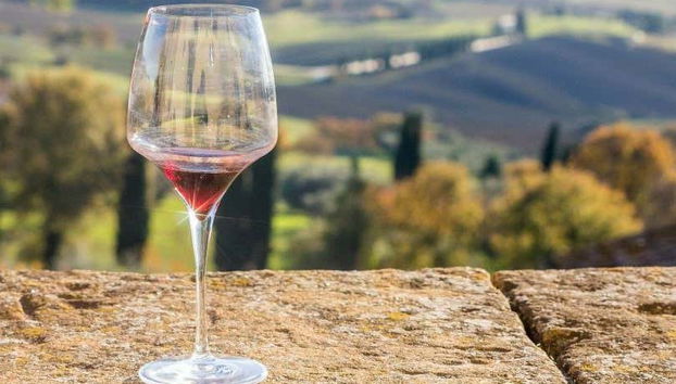 Degustando un calice di vino