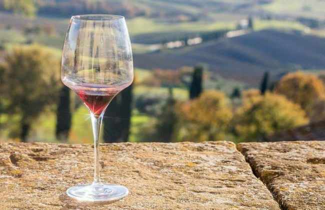 Visita a una cantina di Bardolino - Foto 6